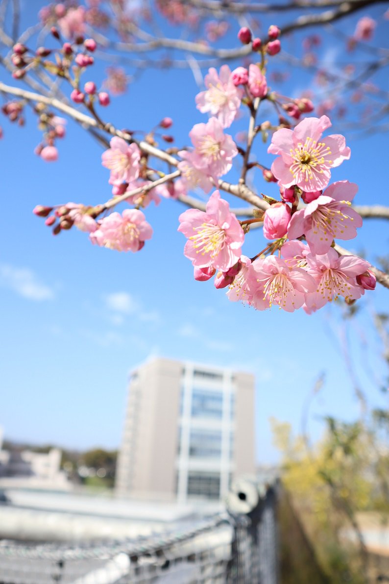 IMG_8712小.jpg