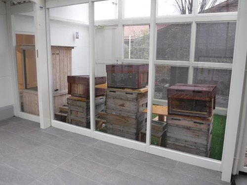 見学通路の展示用巣箱.JPG
