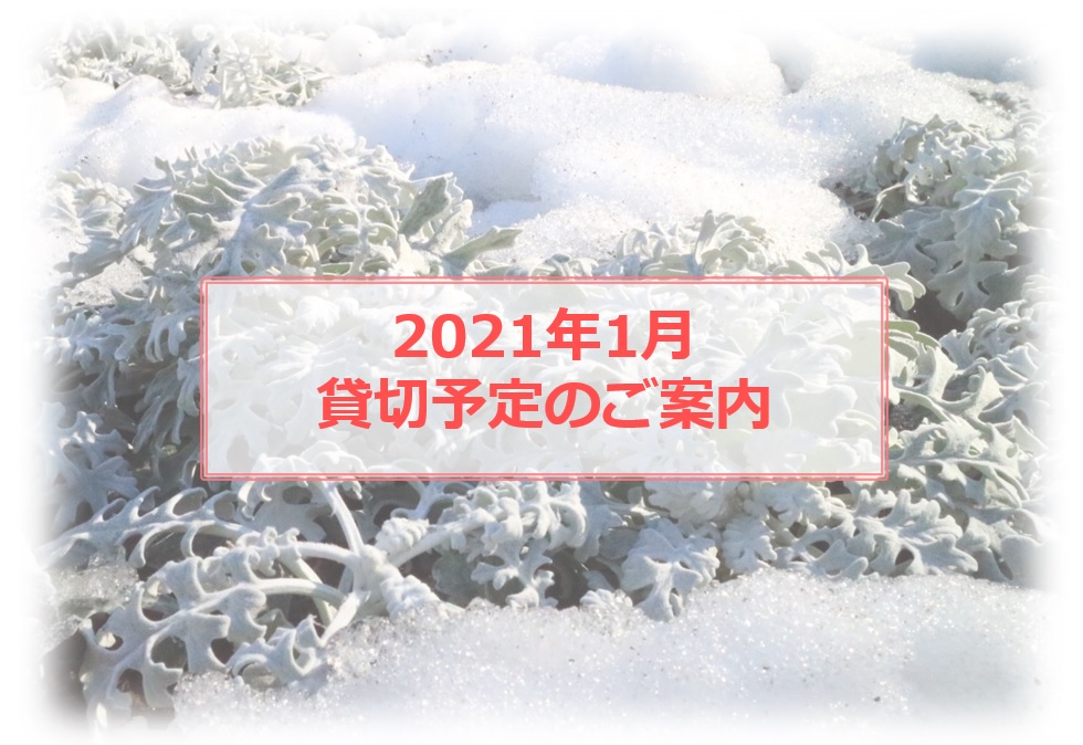 1月貸切予定.jpg