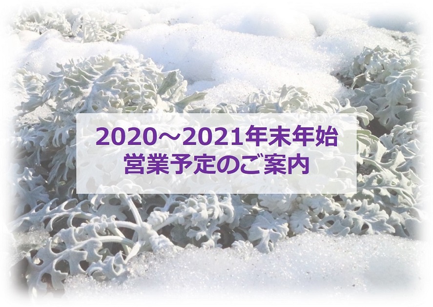 2020年末年始.jpg