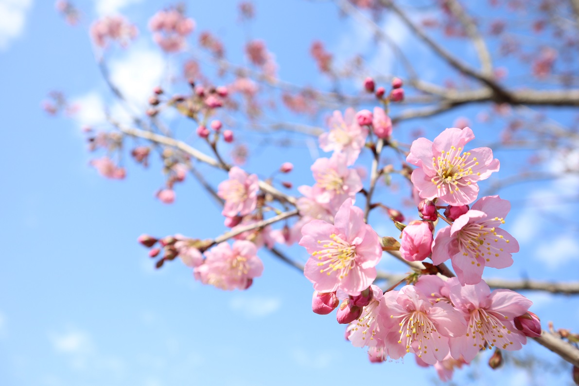 IMG_8709小.jpg